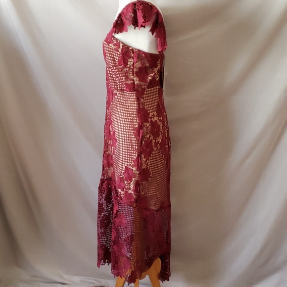 New Bardot Lucy Lace Midi dress - Picture 6 of 8